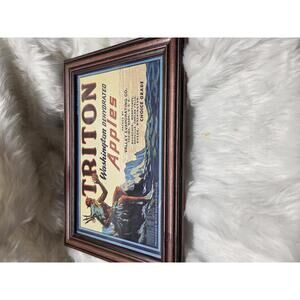 Vintage Triton Washington Dehydrated Apples Framed Advertising Sign